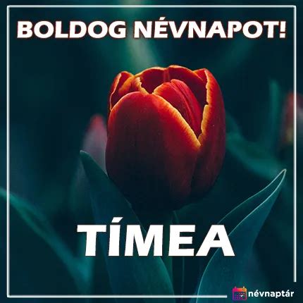 Tímea névnap 2024 